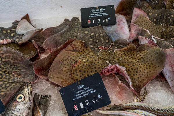 Capbreton, Frankrijk. 27.06.2020. Franse vismarkt. Oceaan verschillende soorten verse vis. — Stockfoto