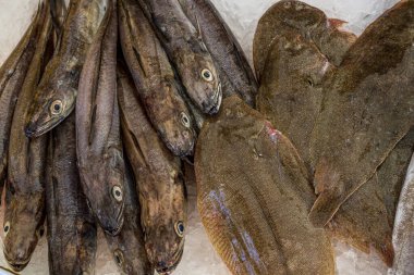 Capbreton, Fransa. 27.06.2020. Fransız balık pazarı. Flounder ve hake.