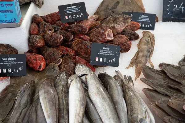 Capbreton, Frankrijk. 27.06.2020. Franse vismarkt. Verschillende soorten verse vis uit de oceaan. — Stockfoto