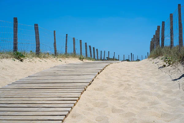Sanddyner med utsikt över stranden. Bakgrund sommar himmel. Naturlig bakgrund. Natursköna resor bakgrund. Blå bakgrund. — Stockfoto