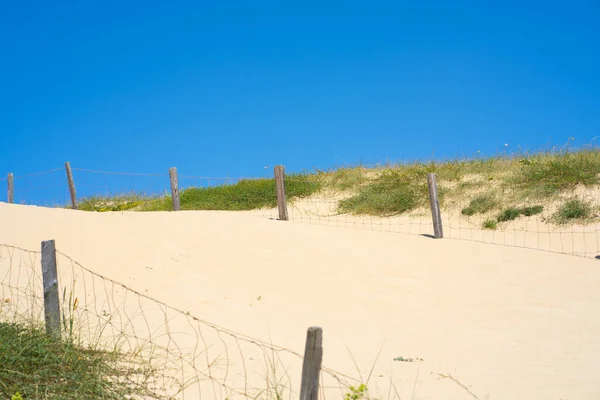 Dunes Vue Sur Plage Contexte Ciel Été Contexte Naturel Contexte — Photo