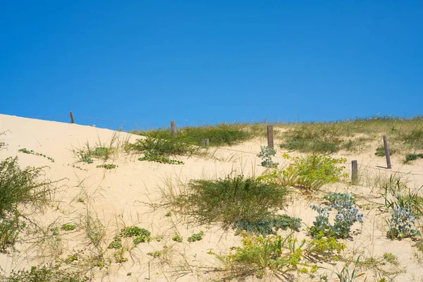 Dunes Vue Sur Plage Contexte Ciel Été Contexte Naturel Contexte — Photo