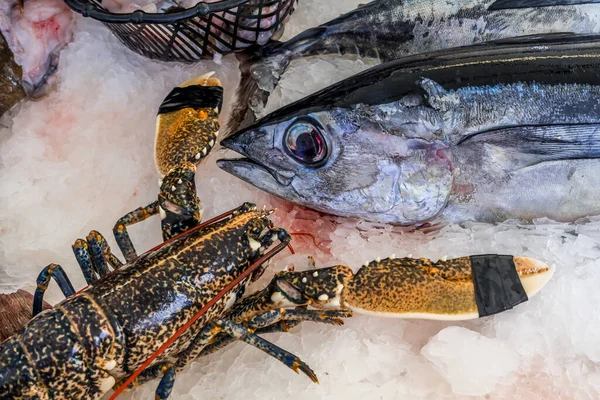 Capbreton Frankrijk 2020 Franse Vismarkt Oceaan Verschillende Soorten Verse Vissen — Stockfoto