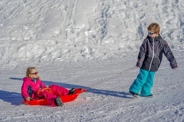 Kardeşinin çocukları kızak kızağıyla kayıyor. Küçük kız ve oğlan kızak sürüşünün keyfini çıkarıyorlar. Çocuk kayağı. Çocuklar karda dışarıda oynarlar.. — Stok fotoğraf