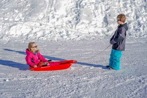 Hermano tirando de su hermana niños trineo nieve trineo. Niña y niño disfrutando del paseo en trineo. Un trineo infantil. Los niños juegan al aire libre en la nieve. —  Fotos de Stock