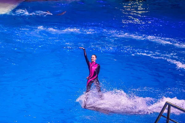 Moscow, Rússia 26.10.2019 Espetáculo de golfinhos no Oceanário — Fotografia de Stock