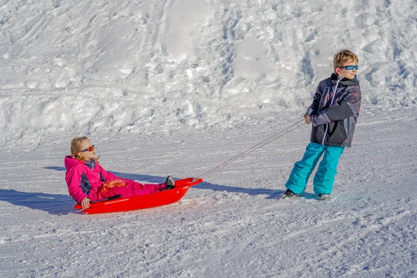 Fratello tirando i suoi figli sorella slittino slitta neve. Ragazzina e ragazzo che si godono un giro in slitta. Slitta infantile. I bambini giocano all'aperto nella neve. — Foto Stock