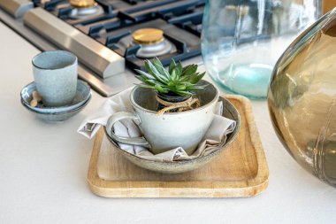Dekoratif aloe kaktüsü bir gaz sobasının yanındaki mutfak masasında. Dekoratif cam vazolar