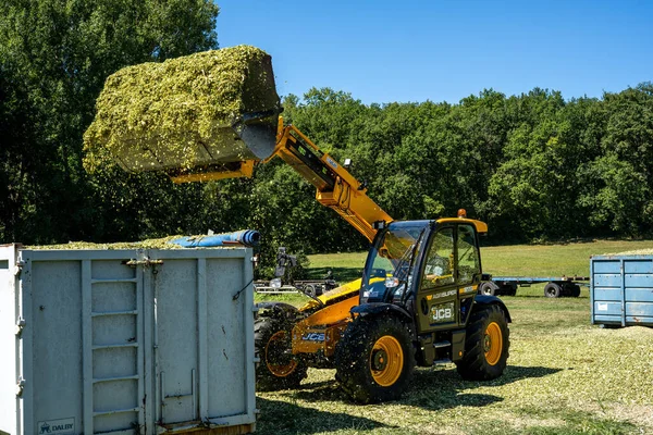 Laguepie, Francja 25.08.2020 Przygotowanie kiszonki sorgo do karmienia bydła. — Zdjęcie stockowe