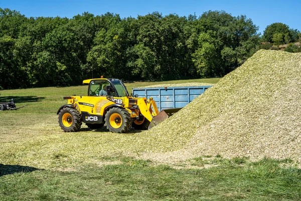 Laguepie, Francja 25.08.2020 Przygotowanie kiszonki sorgo do karmienia bydła. — Zdjęcie stockowe