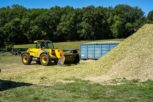 Laguepie, Francja 25.08.2020 Przygotowanie kiszonki sorgo do karmienia bydła. — Zdjęcie stockowe