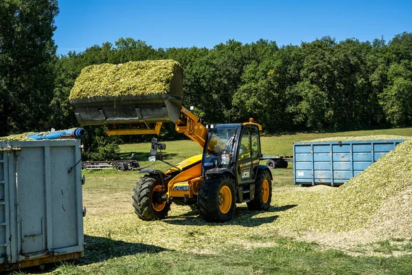 Laguepie, Francja 25.08.2020 Przygotowanie kiszonki sorgo do karmienia bydła. — Zdjęcie stockowe