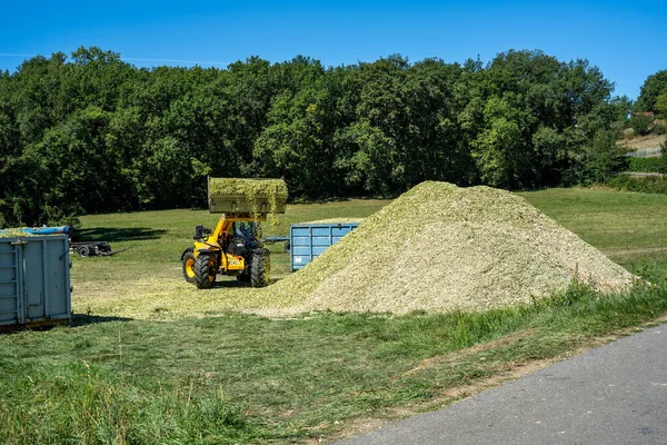 Laguepie, França 25.08.2020 Preparação da silagem de sorgo para alimentação de bovinos. — Fotografia de Stock