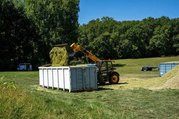 Laguepie, Francja 25.08.2020 Przygotowanie kiszonki sorgo do karmienia bydła. — Zdjęcie stockowe