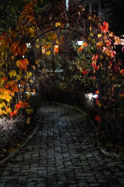 Sonbaharda şehir gece parkında kırmızı, sarı yapraklar ve akçaağaç ağaçlarıyla dolu yollar var. Fenerle park et. Autumn Park 'ın korkutucu karanlığı. Yumuşak Odaklanma Arkaplanı