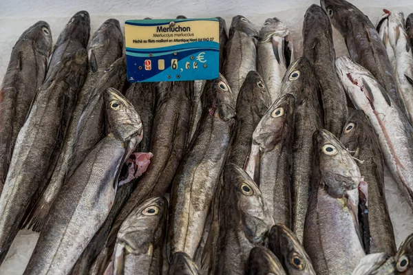 Hossegor Frankrijk 2020 Sluitingen Van Verschillende Vissen Markt Het Ijs — Stockfoto