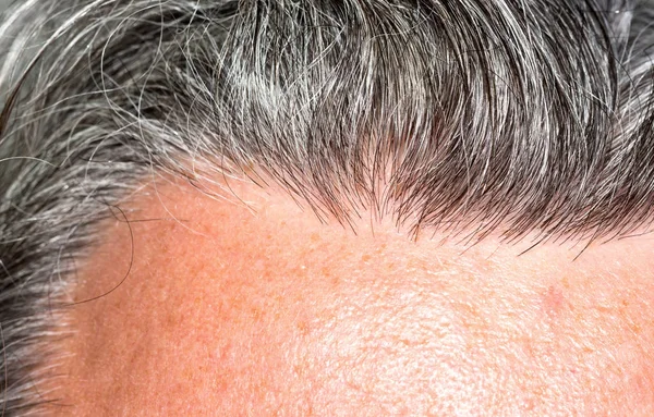 Long Grey Hair Men — Stock Photo, Image