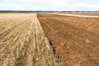 bahar çiftlik sürülmüş alan