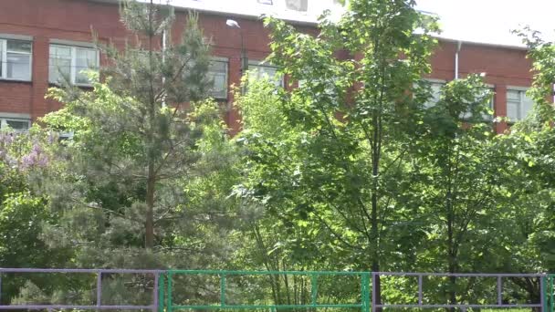 Fleurs Lilas Sur Fond Bâtiment Brique Rouge — Video