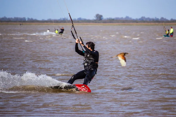 Man Die Kitesurfen Beoefent Een Lagune Vogel — Stockfoto