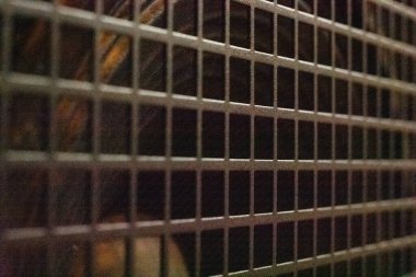 Yakın plan Gitar Amfi Izgarası