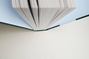 butt book, book spread with pages on a light background