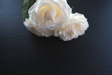 Koyu ahşap arka planda beyaz güller