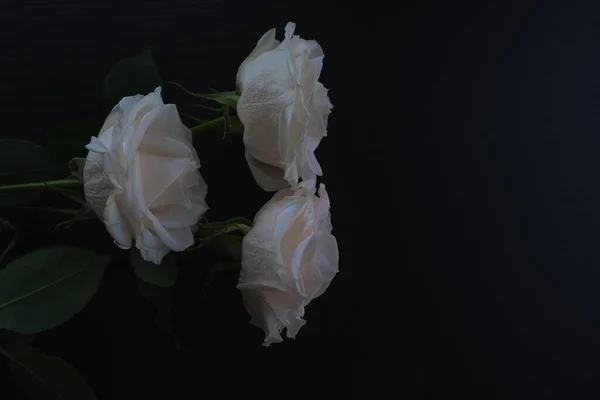 Białe róże na ciemnym drewnianym tle — Zdjęcie stockowe