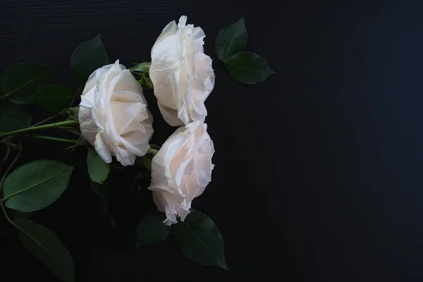 Roses blanches sur un fond en bois foncé — Photo