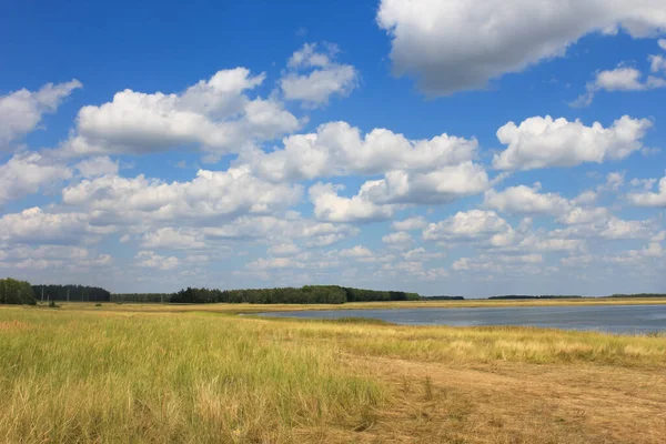 Göl ve gökyüzünde beyaz kabarık bulutlarla sonbahar manzarası