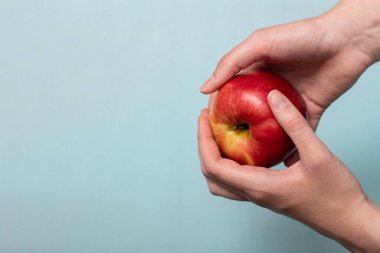 Mavi stüdyo arka planında taze kırmızı elma sunan bir kadın el ele tutuşuyor. Kopya alanı. Hasat konsepti.