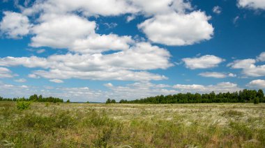 Tüylü çim ve çimen tarlasında yaz manzarası. Güzel beyaz kümülüs ve mavi gökyüzündeki tüylü bulutlar