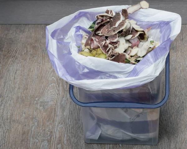 Organic waste in kitchen bucket, Food waste for composting and recycling. Recycling of plastic waste. Separate garbage collection. Caring for the environment on Earth