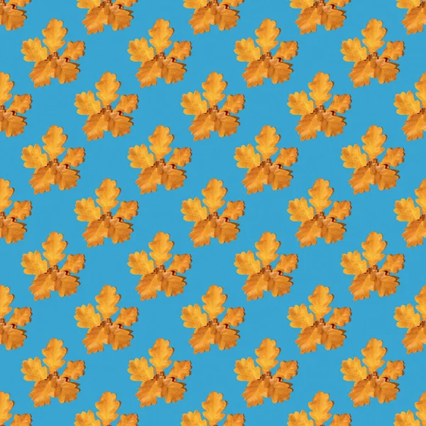 无缝隙的黄秋橡木叶在蓝色的背景上 复制空间 可用作天然底色 秋天印花面料 包装纸 明信片 — 图库照片