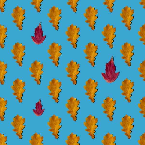 干燥的黄红相间的秋叶在蓝色的背景上呈无缝状 用于设计和创意的连续游戏的纹理模式 自然背景 — 图库照片