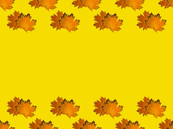 Bezešvé Vzory Formě Čar Shora Zdola Žlutých Podzimních Javorových Listů — Stock fotografie