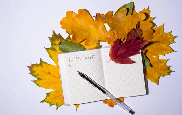 白纸笔记本 用于书写待办事项清单 白底上的钢笔和秋天彩叶 复制空间 顶部视图 秋天计划的概念 秋季几个月的待办事项清单概念 — 图库照片
