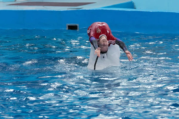 Sochi Rusland Jule 2018 Tentoonstelling Van Dolfijnen Het Dolfinarium Van — Stockfoto