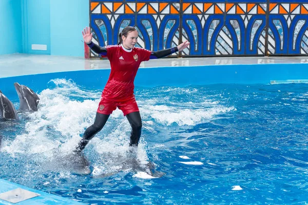 Sochi, Rusya Federasyonu - Jule 04, 2018: Yunusların Sochi Dolphinarium gösterisinde Temmuz