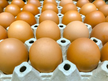 Yumurta kutusundaki çiğ tavuk yumurtalarına yakından bak, tavuk çiftliğinden gelen yumurtalar pakette tavuk çiftliğinden gelen yumurtalar, yumurta tepsisinde yumurta..