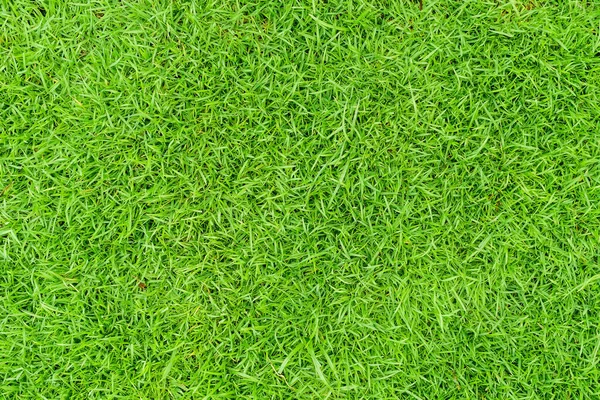 Zielona Konsystencja Trawy Tło Zielony Trawnik Podwórko Dla Tła Konsystencja — Zdjęcie stockowe