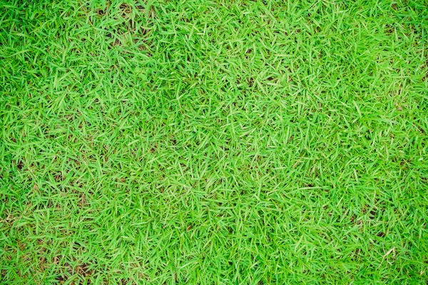 Tampilan Atas Dari Halaman Hijau Latar Belakang Tekstur Rumput Hijau — Stok Foto