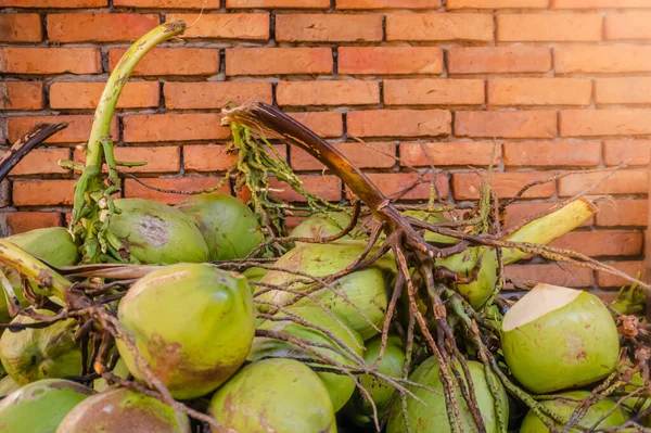 Frutta Cocco Vendita Sacco Frutta Cocco Molti Giovani Noci Cocco — Foto Stock