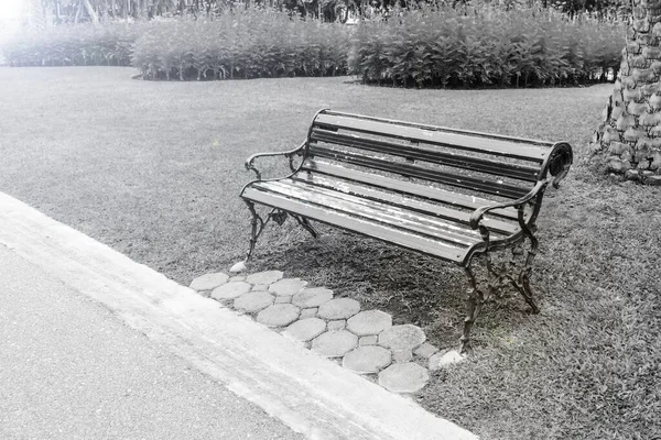 Chaise Jardin Métal Sur Herbe Verte Chaises Sur Pelouse Dans — Photo