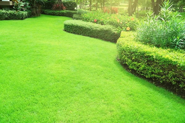 Garden Fresh Green Grass Both Shrub Flower Front Lawn Background — стоковое фото