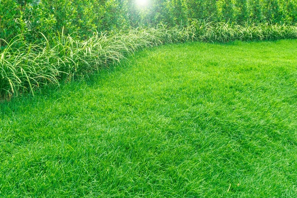 Desain Lansekap Taman Damai Taman Hijau Dan Rumput Halaman Hijau — Stok Foto