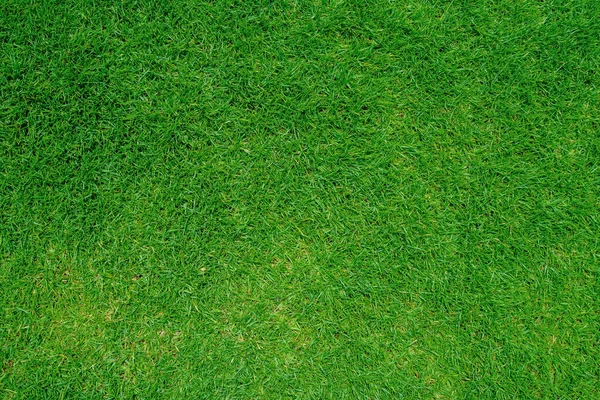 Grünes Gras Textur Hintergrund Top Ansicht Von Grasgarten Ideales Konzept — Stockfoto