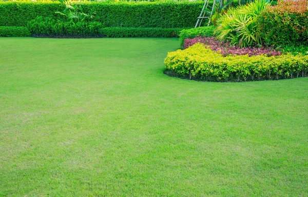 Jardim Com Grama Verde Fresco Ambos Arbusto Flor Gramado Frontal — Fotografia de Stock