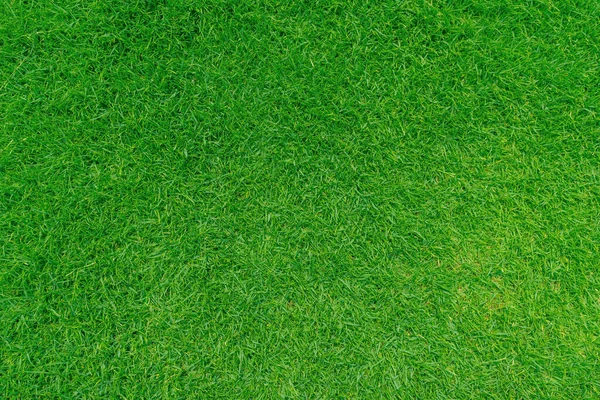 Grünes Gras Textur Hintergrund Top Ansicht Von Grasgarten Ideales Konzept — Stockfoto