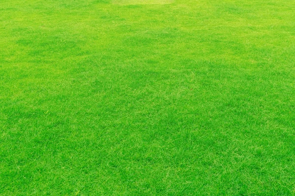 Groene Gras Textuur Achtergrond Bovenaanzicht Van Gras Tuin Ideaal Concept — Stockfoto